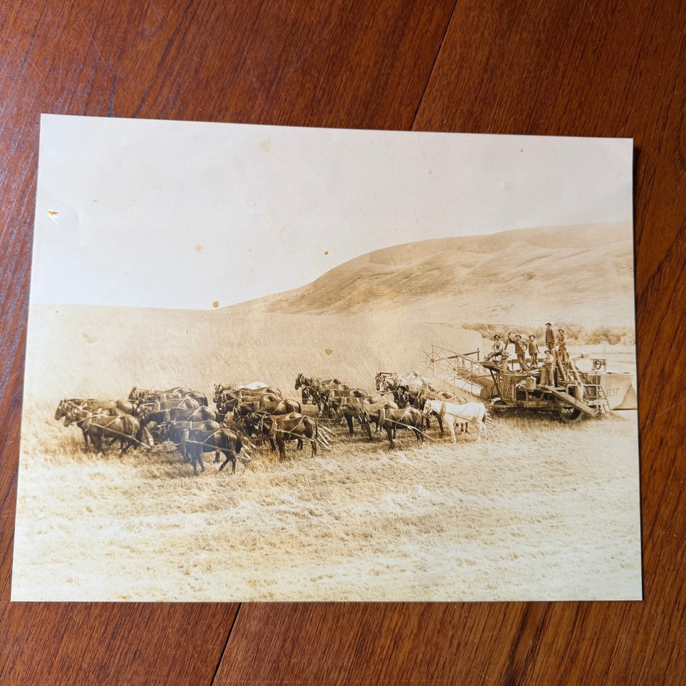 KITS Cameras Vintage Sepia Photo Horse Drawn BEST Combine Harvester Farm 12 x 18